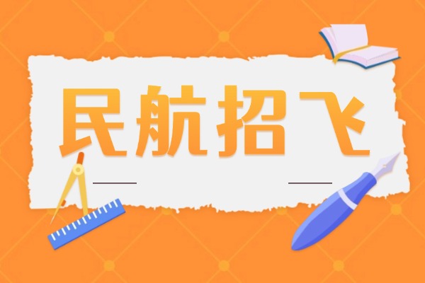 2026 年中国招飞培训行业发展洞察报告